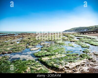 Rock pools at low tide on the south coast of England near Eastbourne, East Sussex, with the white cliffs and South Downs visible in the distance. Stock Photo