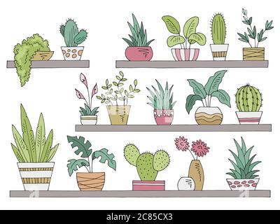 Shelves set graphic color isolated plant pot sketch illustration vector Stock Vector