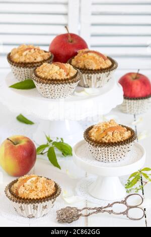 apple muffins on cake plate and fresh apples Stock Photo