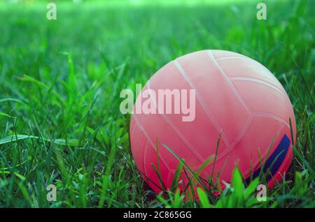 volleyball ball standing on the grass. Volleyball ball on greenery field in park Stock Photo