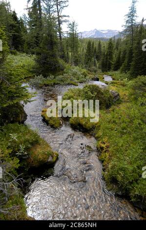 Banff National Park, Alberta Canada, August 2005: Grizzly Creek and Grizzly Lake on the Continental Divide near the Sunshine Village ski area in western Alberta. ©Bob Daemmrich Stock Photo