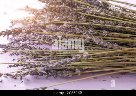 Dry lavender flower bouquet on violet background Stock Photo