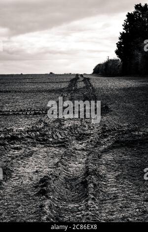 Tractor tracks in muddy rolling field, heading into the distance Stock Photo