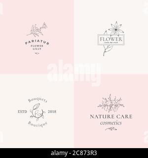 Abstract Floral Vector Signs or Logo Templates Set. Retro Feminine Illustration with Classy Typography. Premium Flower Emblems for Beauty Salon, SPA Stock Vector