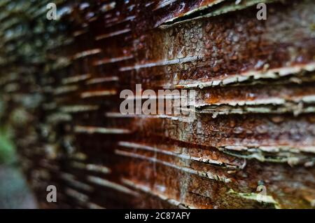 Exploring around Lummi Island, WA Stock Photo