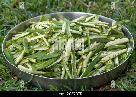 okra lady finger cuts in slice, ready for cook, close up view Stock Photo