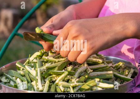 Young girl cutting okra lady finger with knife, preparing bhindi for cooking Stock Photo