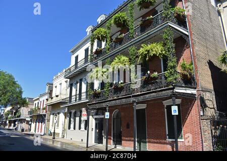 Elaborate ironwork galleries covered in lush green plants on a building along Royal street in the historic French Quarter of New Orleans, Louisiana. Stock Photo