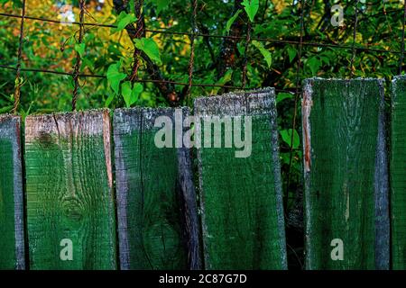 Green wood colored plank wall texture background Stock Photo