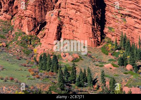 Close view of Djety-Oguz Canyon and terrain with red sandstone rocks and vegetation including pine trees. Located at Issyk Kul region in Kyrgyzstan. Stock Photo