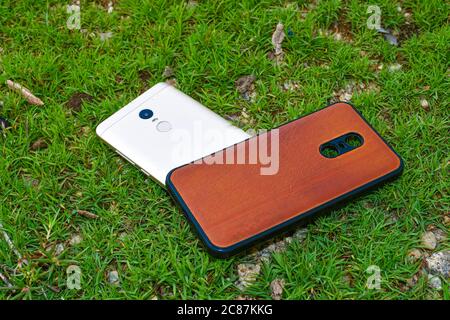 Smartphone & Back Cover On Green Grass Background Close. Stock Photo