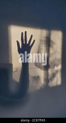 Defocus female hand silhouette of shadows on wall looks like cinematic frame from scary movie. Sunlight and weird shadows in shapes of blur woman's ha Stock Photo