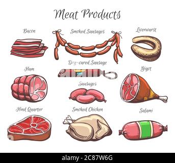 Colorful set of appetizing meat products. Hand-drawn sketch of bacon, sausages, ham, salami etc. Vector illustration. Stock Vector