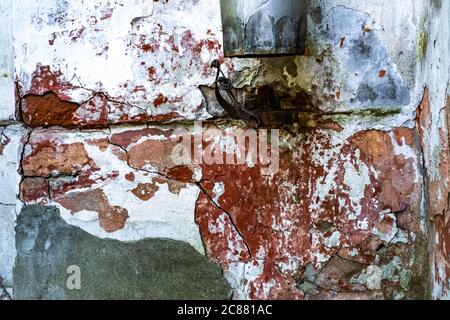 Decayed old white wall with red bricks and metal sewer, background Stock Photo