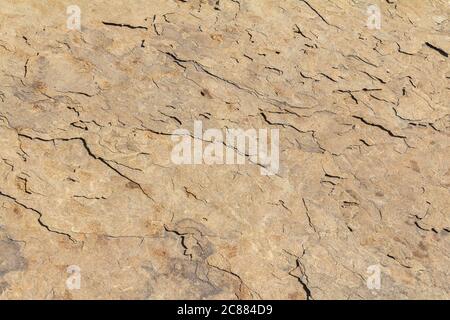 sunny illuminated full frame abstract stone surface Stock Photo