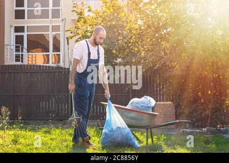 The gardener collects the bags of leaves and puts them in the cart. The sun shines brightly on the right side. Stock Photo
