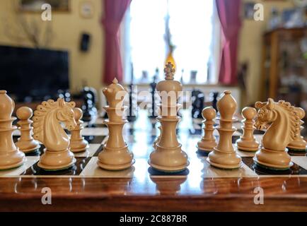 Fifteen-year-old chess star Bobby Fischer of Brooklyn, N.Y., is seen, Sept.  16, 1958 Stock Photo - Alamy