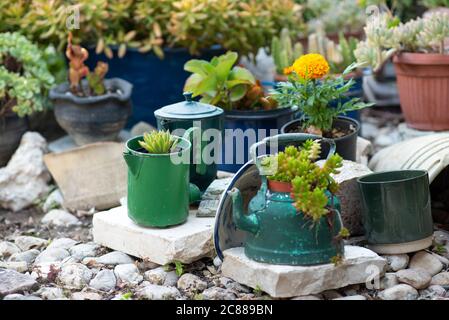 Reused planter ideas. Second-hand kettles, saucepans, old teapots turn into garden flower pots. Recycled garden design and low-waste lifestyle. Selective focus. Stock Photo