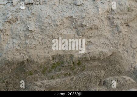 Soil is a soft, granular covering of the earth's surface Stock Photo