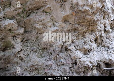 Soil is a soft, granular covering of the earth's surface Stock Photo