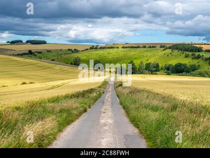 A country lane in Burdale North Yorkshire leading in to the distance. Stock Photo