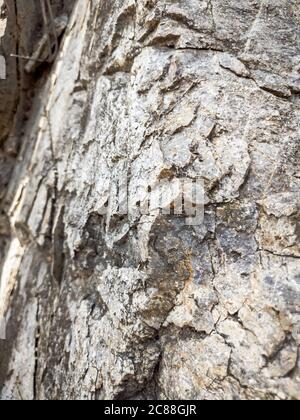 Natural background. Closeup edged shabby cliff cracks. Gray-brown stone rock texture of mountains. Vintage and faded matt style colour in tinted photo Stock Photo