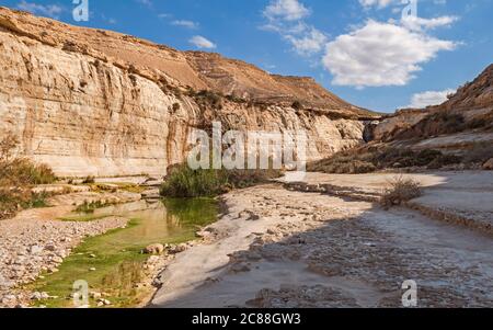 mossy green water in the nahal akev stream in the zin valley in israel with cliffs, the ein akev spring and puffy clouds in the background and slabs o Stock Photo