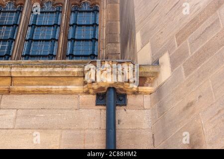 View of owl sculptures on fall pipes, Leeds Cathedral Stock Photo