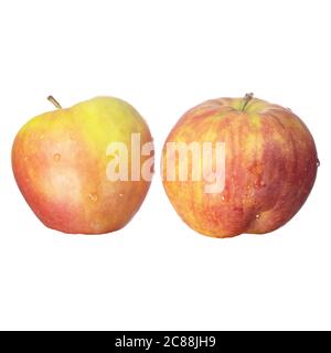 many apples isolated on white. Fruit theme Stock Photo