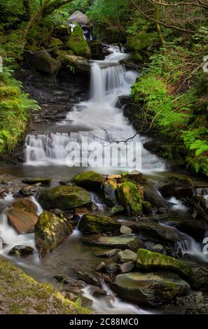 The main waterfall at Melincourt Brook Stock Photo