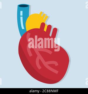 heart organ isolated for anatomy concept vector illustration icon Stock Vector