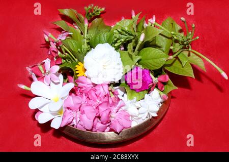 beautiful flowers in pot with rangoon criper, rose and pink oleander flower, decorative background, selective focus with blur. Stock Photo