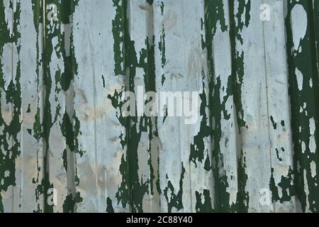 Crumpled corrugated iron sheet with peeling green paint, texture for background. Stock Photo