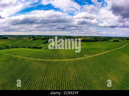 Aerial view, Sunset landscape, Bordeaux wineyard, Langoiran, Gironde, France Stock Photo