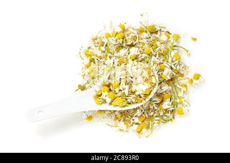 spoon of dry chamomile flowers isolated on white Stock Photo