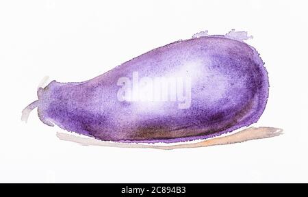 ripe eggplant hand painted by watercolour paints on white textured paper Stock Photo