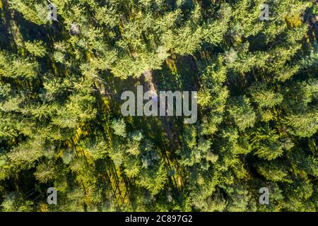 Heart shaped hole in a forest with a man lying in the middle, symbol for love of nature - naturelovers. Stock Photo