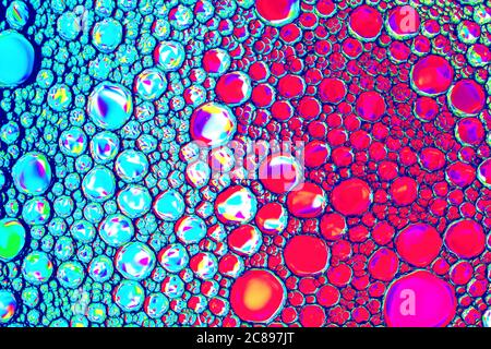 Top view on colorful drops of oil on the water. Circles and ovals. Stock Photo