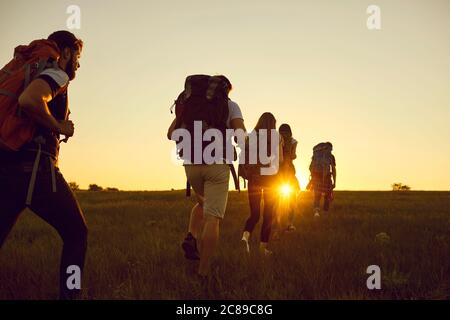 Hike. Hiking. Tourism.A group of tourists with backpacks are walking along the hill at sunset in nature in summer. Stock Photo