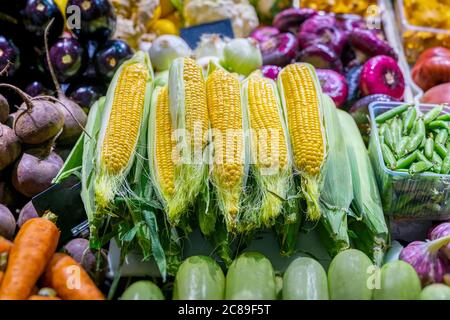 Corn on the cob. Farmers market with fruits and vegetables, open shelves showcases. Healthy organic food. Autumn harvest Stock Photo