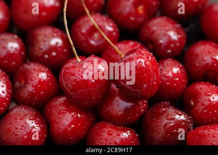 bright red cherry fruit background, two cherries on top Stock Photo