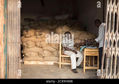 Burlap sacks of dried coffee beans are labeled 'For export only' at a farmers' cooperative warehouse in Mbale, Uganda, East Africa. Stock Photo