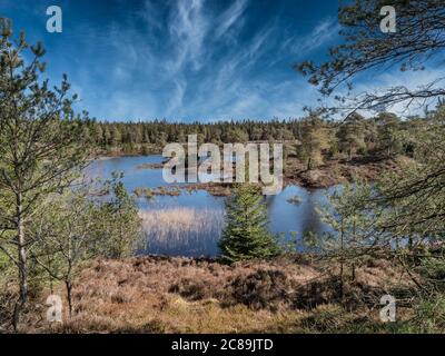 Seven years temporary lakes in Randboel Frederikshaab, Denmark Stock Photo