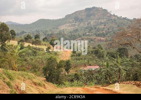 Beautiful dramatic scenery of farming communities on the foothills of Mount Elgon, in Eastern Uganda. Stock Photo