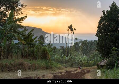 Beautiful dramatic scenery of farming communities on the foothills of Mount Elgon, in Eastern Uganda, Africa. Stock Photo