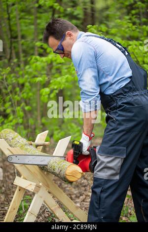 Lumberman in protective safety workwear works with chainsaw and sawing tree. Stock Photo