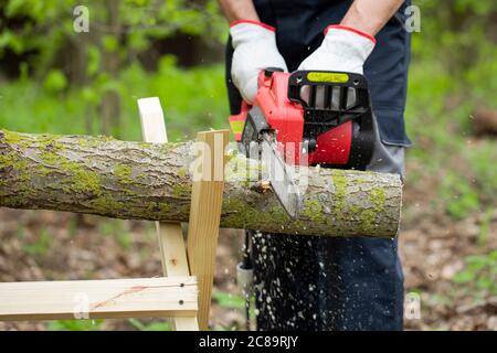 Forest worker in protective safety workwear saws tree trunk with the chainsaw. Stock Photo