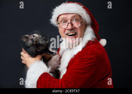 Profile shot of astonished Father Christmas, isolated on black background holding little black pig, looking at camera with open mouth and bug-eyed. Di Stock Photo