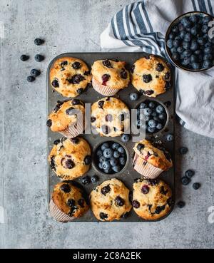 Overhead view of blueberry muffins in baking tin on concrete counter. Stock Photo