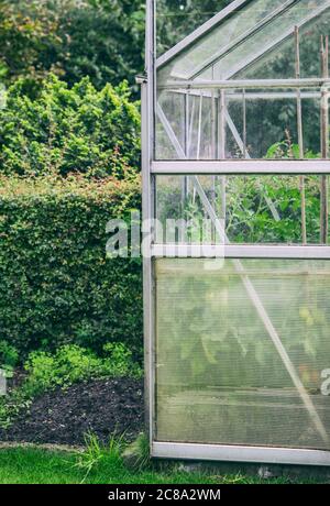 Greenhouse in a garden in England, UK Stock Photo